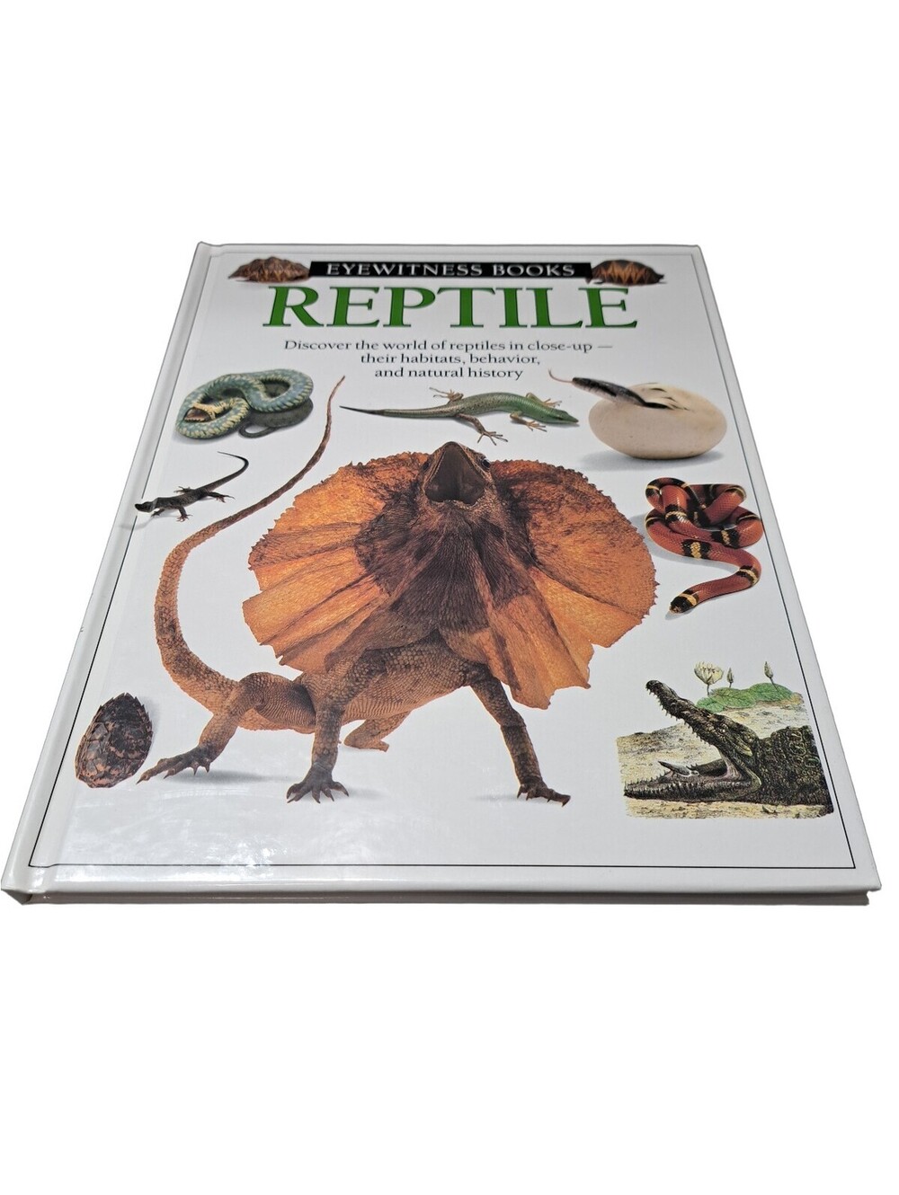 Vintage 1991 first edition of Reptile by Eyewitness Books
